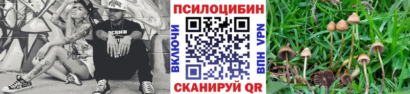 Псилоцибиновые грибы Magic Shrooms  Балтийск 